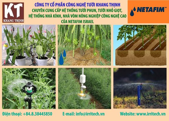 Hệ thống tưới nhỏ giọt Netafim ở Hà Nội – 0904 902 000