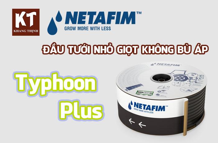 Day Tuoi Nho Giot Khong Bu Ap Typhoon Plus