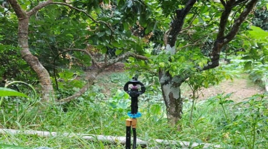 Hình ảnh dự án