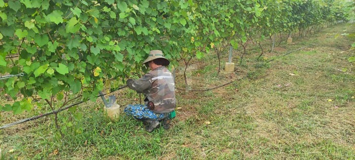 https://irritech.vn/wp-content/uploads/2026/09/du-an-14ha-nho-binh-duong-1.jpg