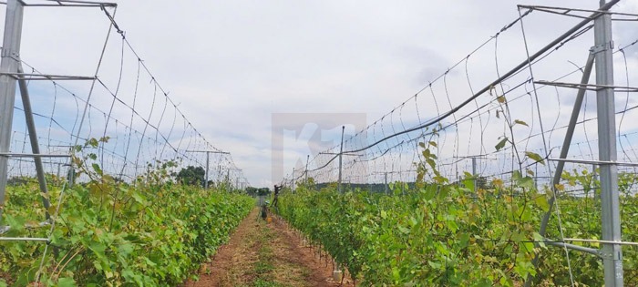 https://irritech.vn/wp-content/uploads/2026/09/du-an-14ha-nho-binh-duong-4.jpg