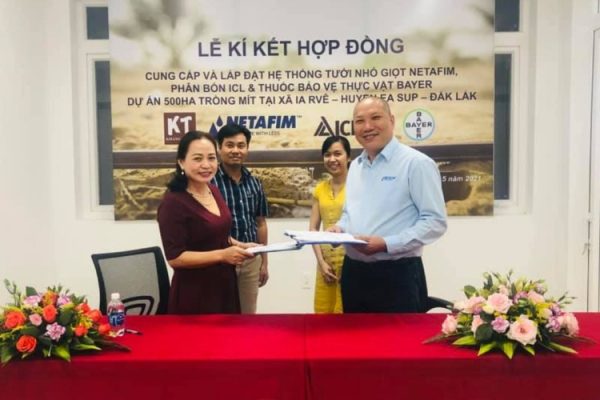 Hệ Thống Tưới Nhỏ Giọt Mít 500 Ha – Đắk Lắk
