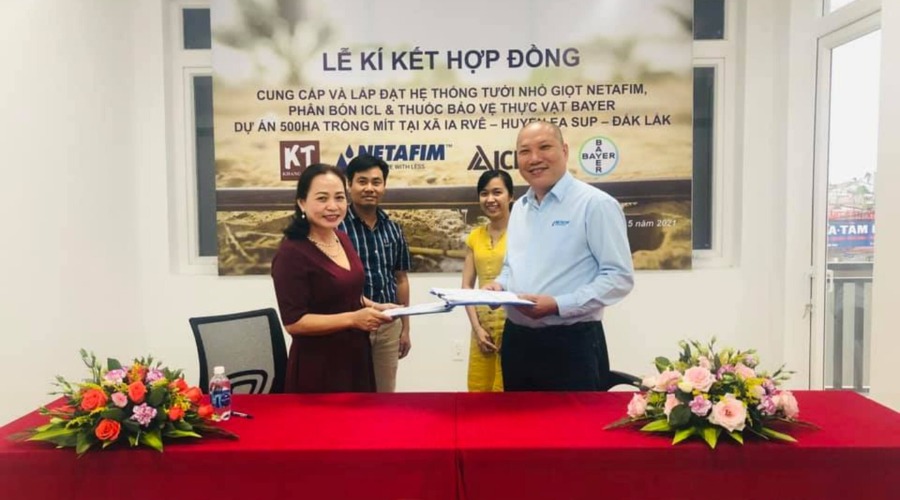 Hệ Thống Tưới Nhỏ Giọt Mít 500 Ha – Đắk Lắk