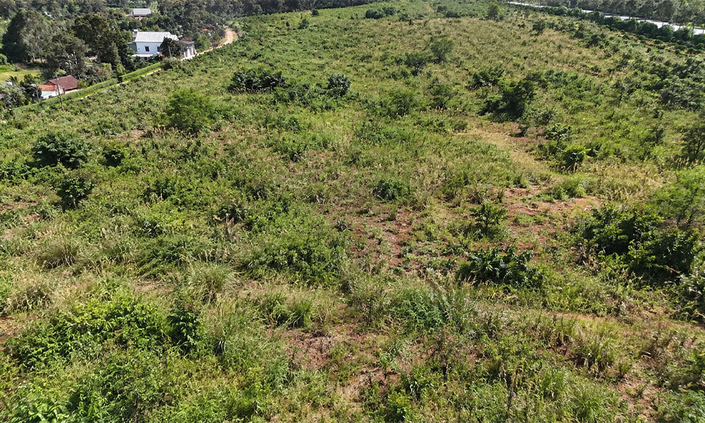 https://irritech.vn/wp-content/uploads/2026/09/hien-trang-ban-dau-75ha-cf-1.jpg