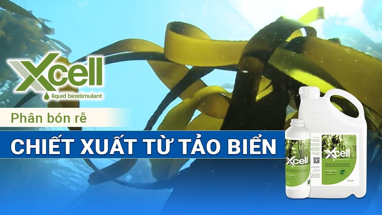 Video giới thiệu sản phẩm