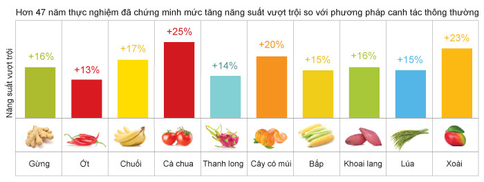 Hiệu quả năng suất cây trồng khi sử dụng XCELL
