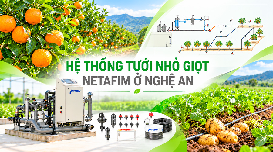 Hệ thống tưới nhỏ giọt Netafim ở Nghệ An – 0984 809 009