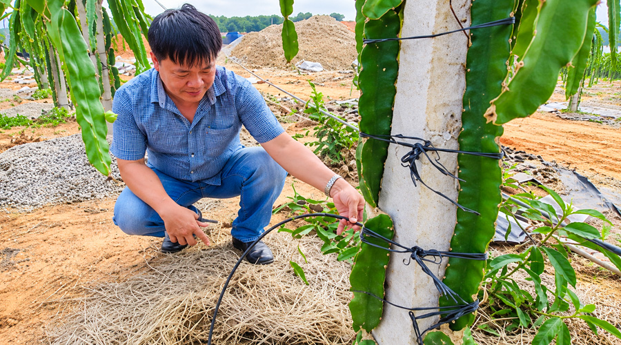 Trung tâm khuyến nông quốc gia kết hợp với công ty Khang Thịnh tập huấn tưới tiết kiệm nước