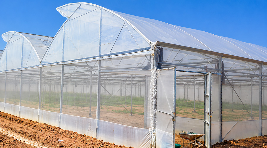 Nhà màng có hai cửa sổ mái cố định cao 1.7m và 1.2m
