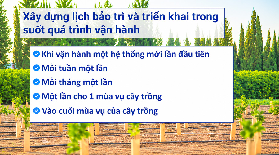 Lịch bảo trì hệ thống tưới nhỏ giọt