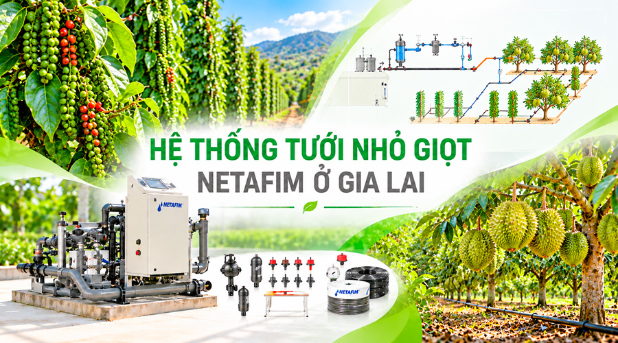 Hệ thống tưới nhỏ giọt Netafim ở Gia Lai – 0269 3886679