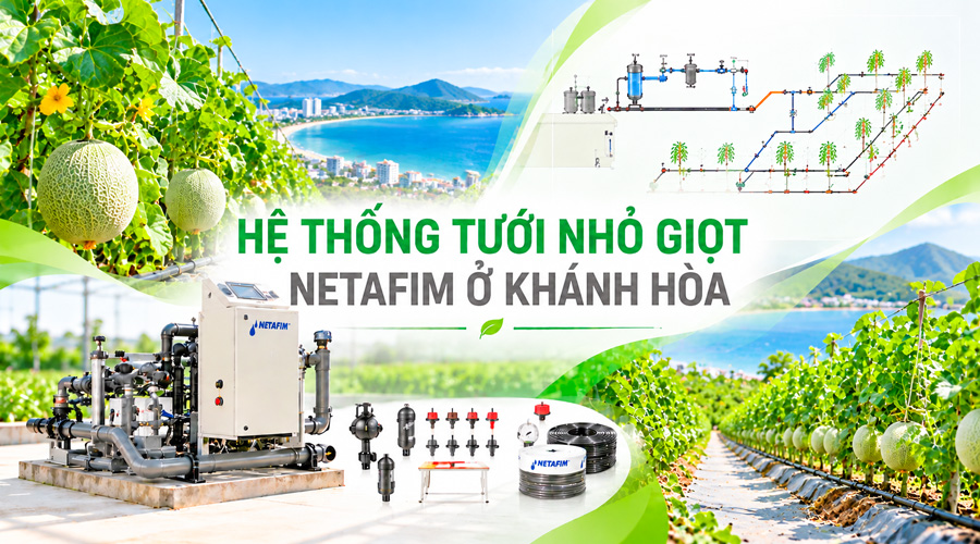 Hệ thống tưới nhỏ giọt Netafim ở Khánh Hòa – 0258 385 9425
