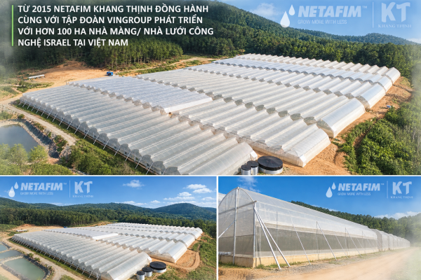 Nhà Màng Nông Nghiệp Công Nghệ Cao VinEco hơn 100ha – Vingroup