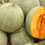 Lắp đặt hệ thống tưới nhỏ giọt cho cây dưa lưới bằng thiết bị tưới gì và chi phí bao nhiêu?