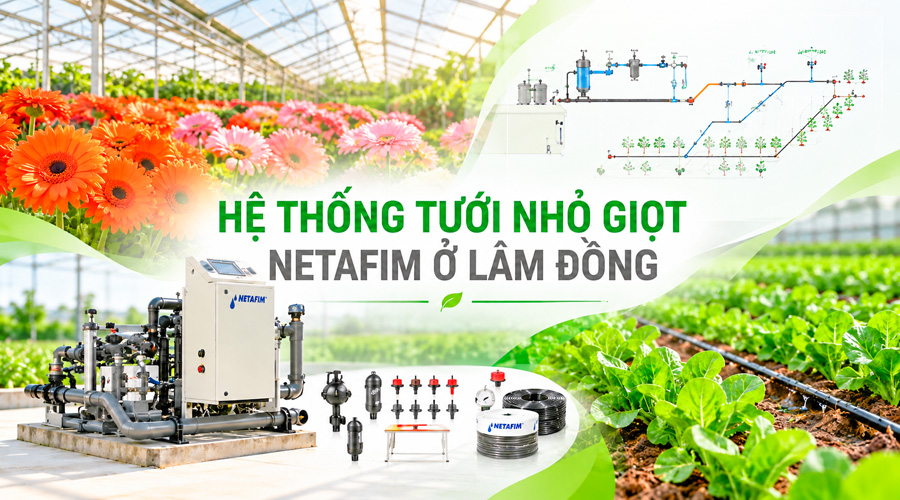 Hệ thống tưới nhỏ giọt Netafim ở Lâm Đồng – 0263 355 0058