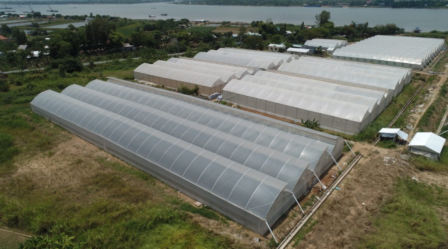 Nhà Màng Trồng Dưa Lưới Eco Farm Đồng Tháp 2,5 Ha