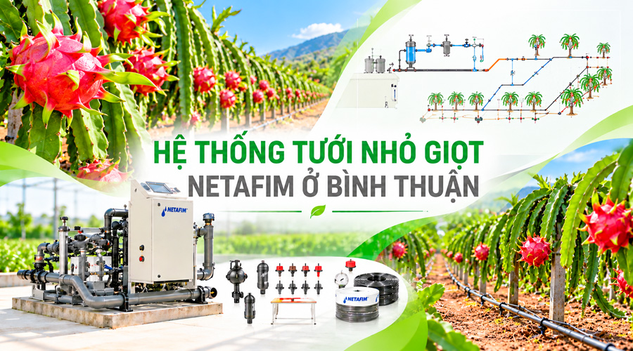 Hệ thống tưới nhỏ giọt Netafim ở Phan Thiết – 0252 3812 848
