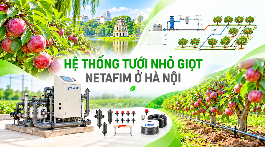 Hệ thống tưới nhỏ giọt Netafim ở Hà Nội – 0904 902 000