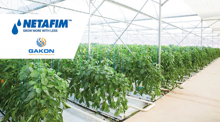 Netafim mua lại công ty nhà kính Hà Lan Gakon, mở rộng giải pháp nông nghiệp công nghệ cao