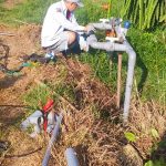 Cung cấp và thi công thêm hệ thống tưới nhỏ giọt gốc cho 2000 trụ thanh long tại Phan Thiết