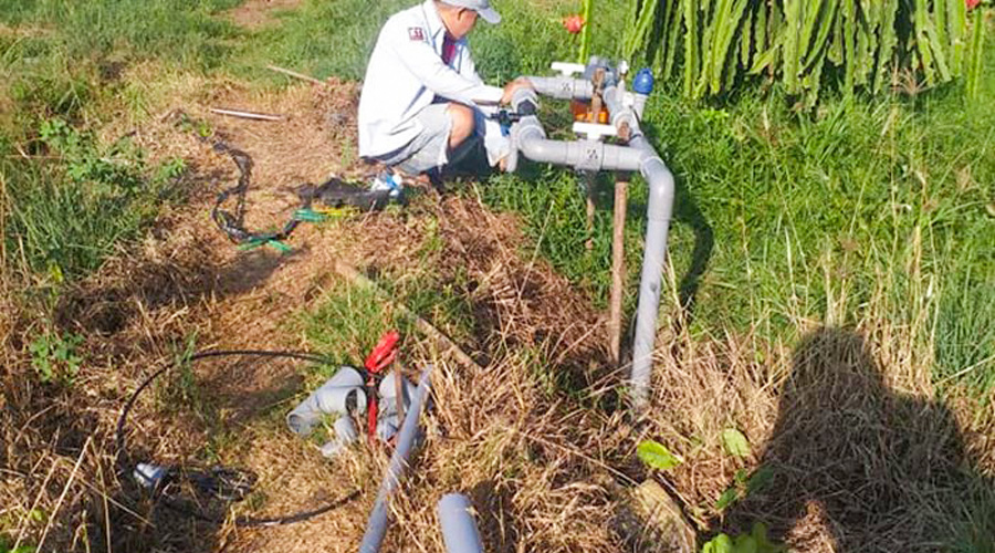 Cung cấp và thi công thêm hệ thống tưới nhỏ giọt gốc cho 2000 trụ thanh long tại Phan Thiết