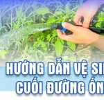 Hướng dẫn cài đặt cấu hình bộ điều khiển Aquapro
