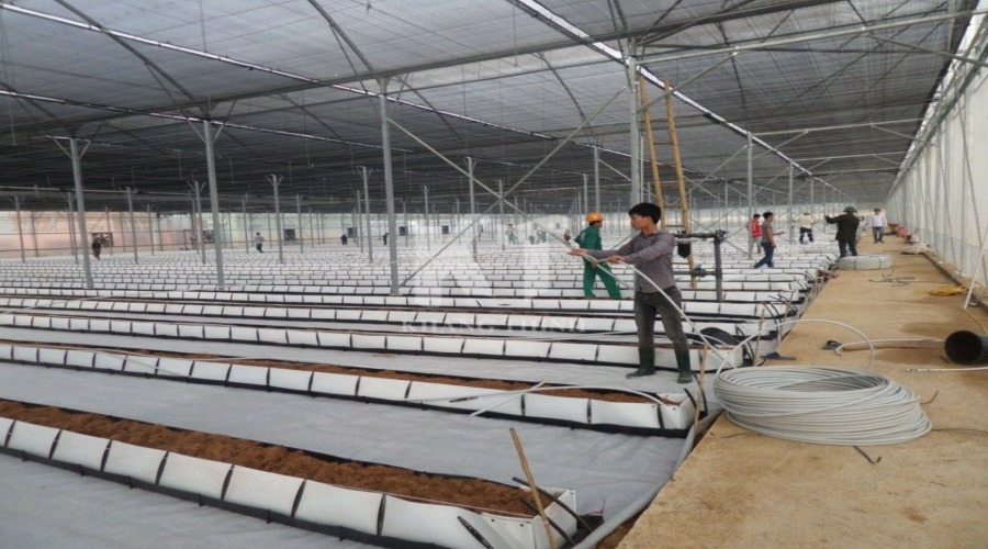 Nhà Máy Mía Đường Lam Sơn