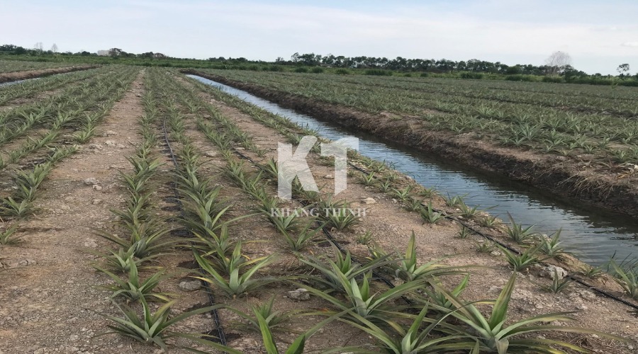 Hình ảnh dự án