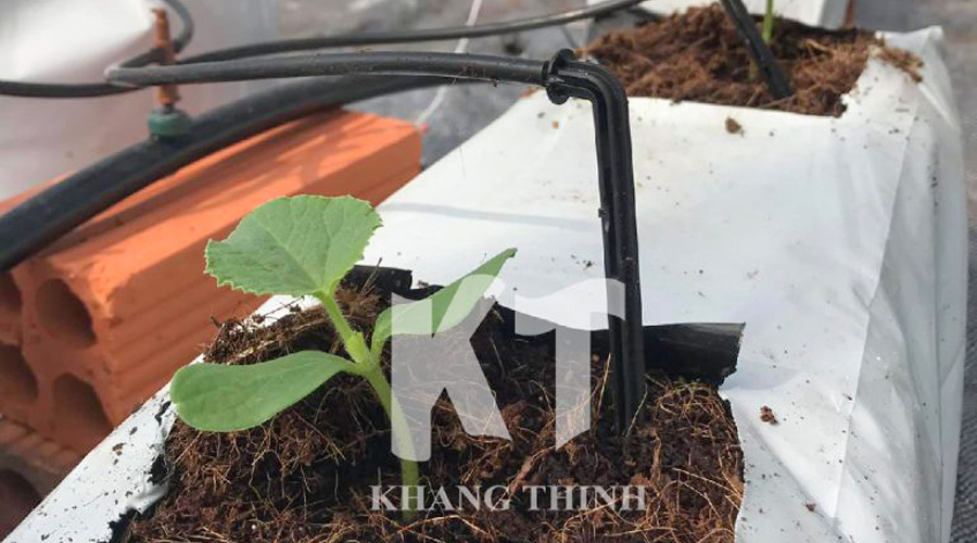 Đầu tưới nhỏ giọt bù áp Netafim cho dưa lưới trồng giá thể